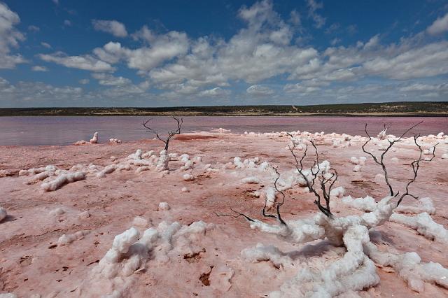 034 Port Gregory, pink lake.jpg